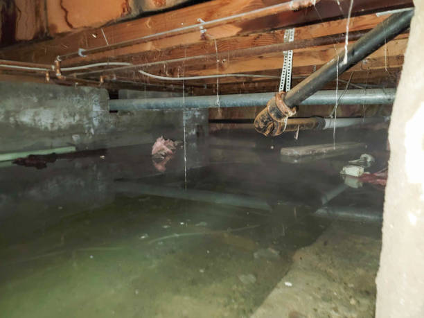 Fire Damage Restoration in Weston, FL