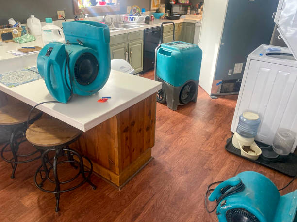 Best Fire Damage Restoration  in Weston, FL