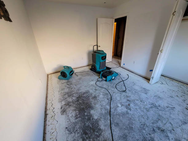Best Residential water damage restoration  in Weston, FL