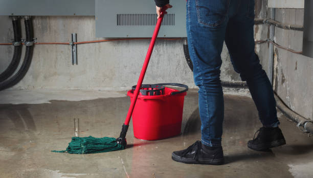 Best Professional water damage repair  in Weston, FL