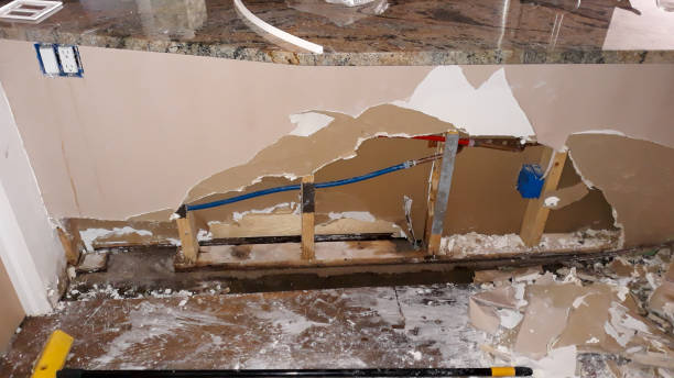 Best Water damage restoration near me  in Weston, FL