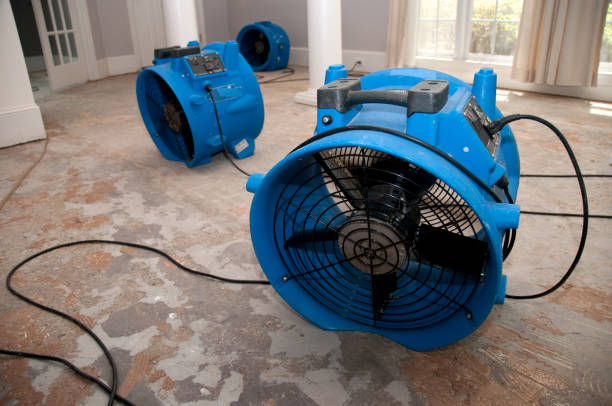 Best Mold removal after water damage  in Weston, FL