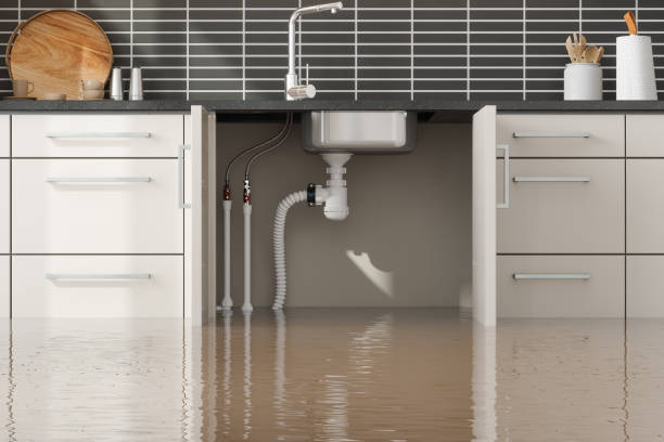 Best Residential water damage restoration  in Weston, FL