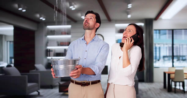 Best Flood damage cleanup  in Weston, FL
