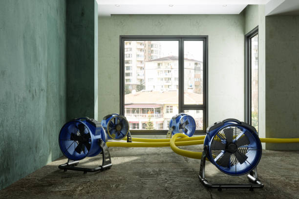 Best Basement water damage restoration  in Weston, FL