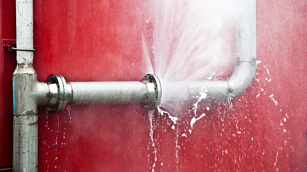 Best Carpet water damage restoration  in Weston, FL