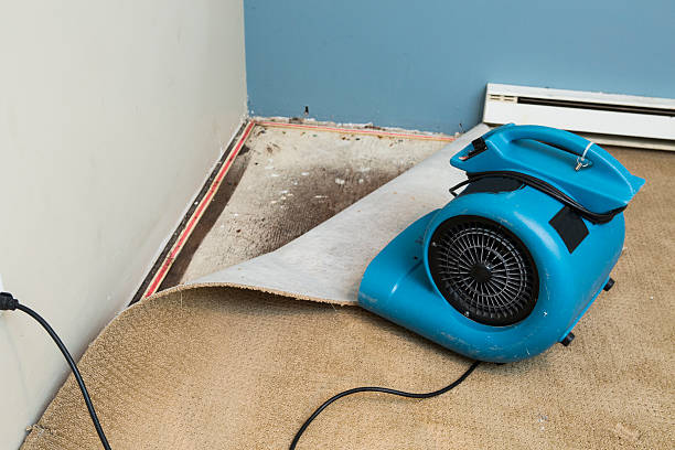 Best 24-hour water damage restoration  in Weston, FL
